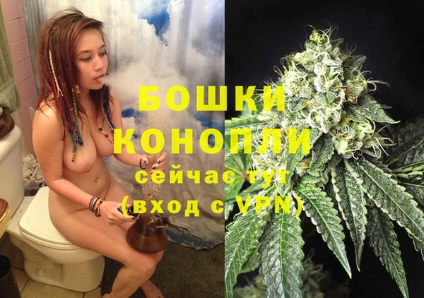 дживик Ладушкин