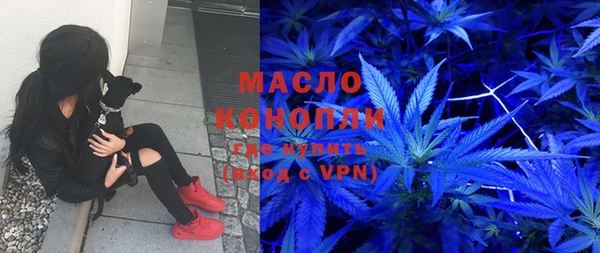 дживик Ладушкин