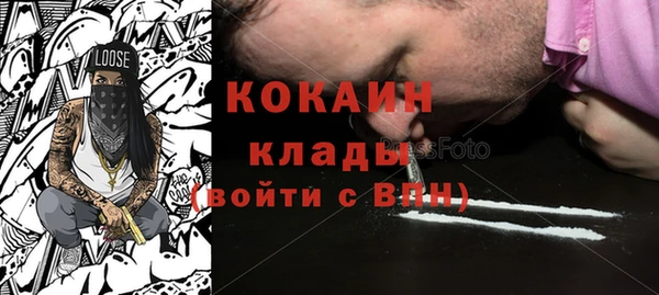 PSILOCYBIN Лагань
