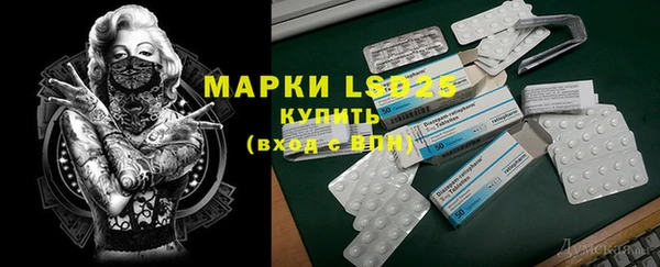 PSILOCYBIN Лагань