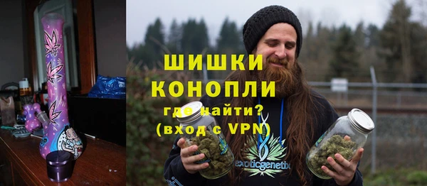 PSILOCYBIN Лагань